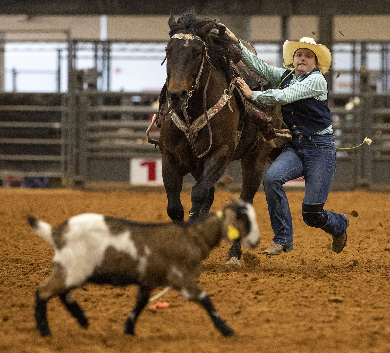 Texas A&M NIRA Rodeo